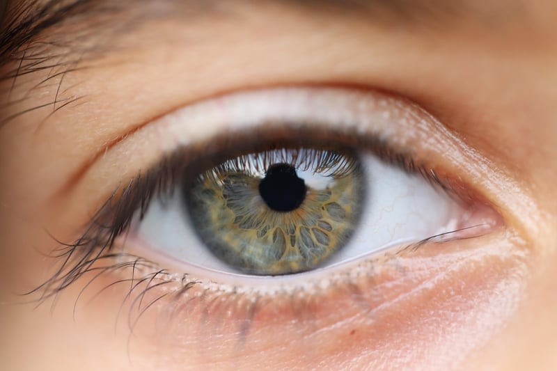 H.G. Wells' Vision